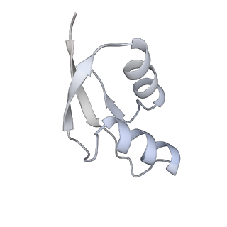 16500_8c93_Z_v1-0
Cryo-EM captures early ribosome assembly in action