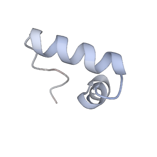 16501_8c94_2_v1-0
Cryo-EM captures early ribosome assembly in action