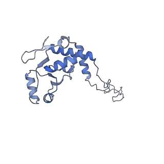 16501_8c94_E_v1-0
Cryo-EM captures early ribosome assembly in action