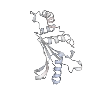 16501_8c94_F_v1-0
Cryo-EM captures early ribosome assembly in action