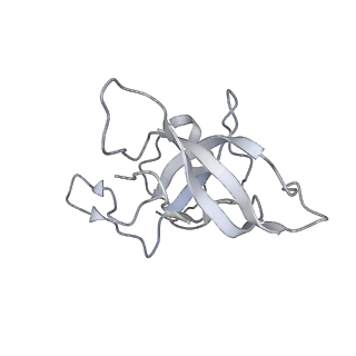 16501_8c94_K_v1-0
Cryo-EM captures early ribosome assembly in action