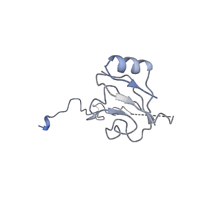 16501_8c94_L_v1-0
Cryo-EM captures early ribosome assembly in action