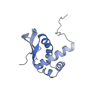 16501_8c94_N_v1-0
Cryo-EM captures early ribosome assembly in action