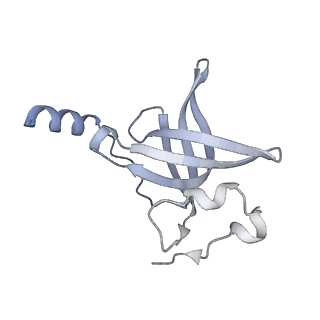 16501_8c94_P_v1-0
Cryo-EM captures early ribosome assembly in action