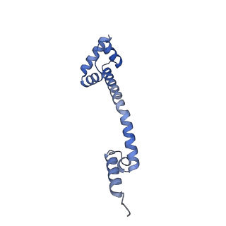 16501_8c94_Q_v1-0
Cryo-EM captures early ribosome assembly in action