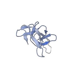 16501_8c94_U_v1-0
Cryo-EM captures early ribosome assembly in action