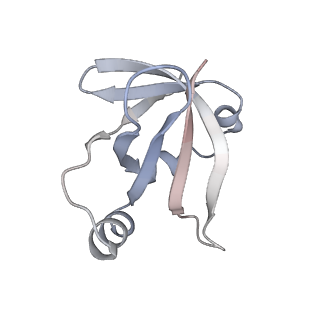 16501_8c94_V_v1-0
Cryo-EM captures early ribosome assembly in action