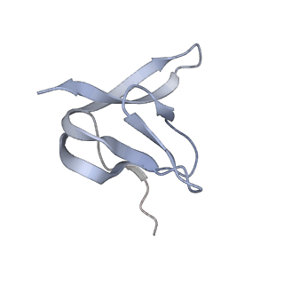 16501_8c94_W_v1-0
Cryo-EM captures early ribosome assembly in action