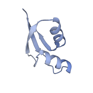 16501_8c94_Z_v1-0
Cryo-EM captures early ribosome assembly in action