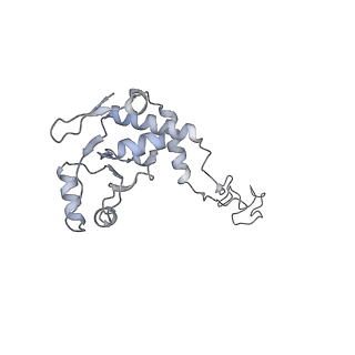 16502_8c95_E_v1-0
Cryo-EM captures early ribosome assembly in action