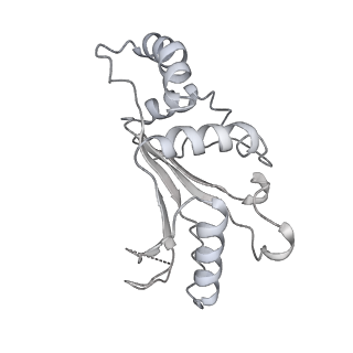 16502_8c95_F_v1-0
Cryo-EM captures early ribosome assembly in action