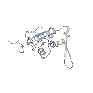 16502_8c95_J_v1-0
Cryo-EM captures early ribosome assembly in action