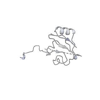16502_8c95_L_v1-0
Cryo-EM captures early ribosome assembly in action