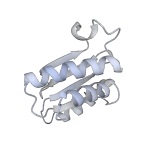16502_8c95_O_v1-0
Cryo-EM captures early ribosome assembly in action