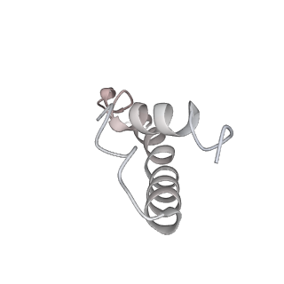 16502_8c95_Y_v1-0
Cryo-EM captures early ribosome assembly in action