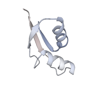 16502_8c95_Z_v1-0
Cryo-EM captures early ribosome assembly in action