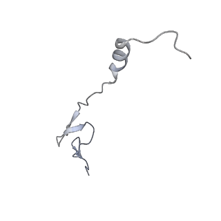 16503_8c96_0_v1-0
Cryo-EM captures early ribosome assembly in action