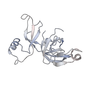 16503_8c96_D_v1-0
Cryo-EM captures early ribosome assembly in action