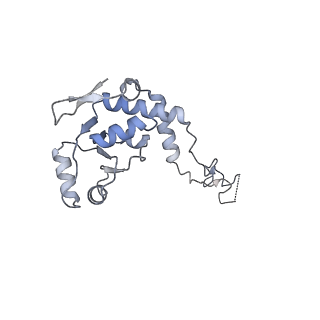 16503_8c96_E_v1-0
Cryo-EM captures early ribosome assembly in action