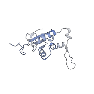 16503_8c96_J_v1-0
Cryo-EM captures early ribosome assembly in action
