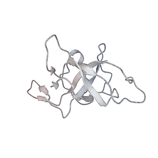 16503_8c96_K_v1-0
Cryo-EM captures early ribosome assembly in action