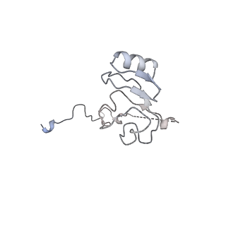 16503_8c96_L_v1-0
Cryo-EM captures early ribosome assembly in action