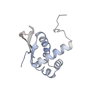 16503_8c96_N_v1-0
Cryo-EM captures early ribosome assembly in action