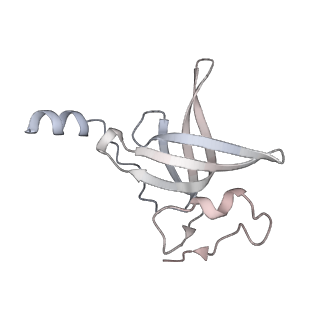 16503_8c96_P_v1-0
Cryo-EM captures early ribosome assembly in action