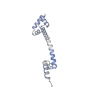16503_8c96_Q_v1-0
Cryo-EM captures early ribosome assembly in action