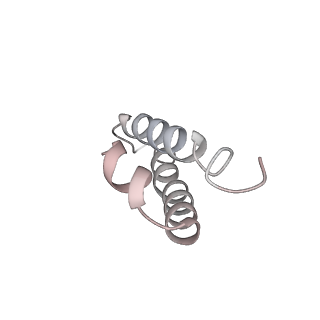 16503_8c96_Y_v1-0
Cryo-EM captures early ribosome assembly in action