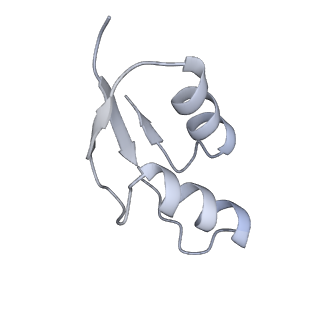 16503_8c96_Z_v1-0
Cryo-EM captures early ribosome assembly in action