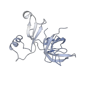16504_8c97_D_v1-0
Cryo-EM captures early ribosome assembly in action