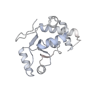16504_8c97_E_v1-0
Cryo-EM captures early ribosome assembly in action