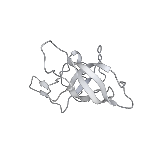 16504_8c97_K_v1-0
Cryo-EM captures early ribosome assembly in action