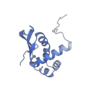 16504_8c97_N_v1-0
Cryo-EM captures early ribosome assembly in action