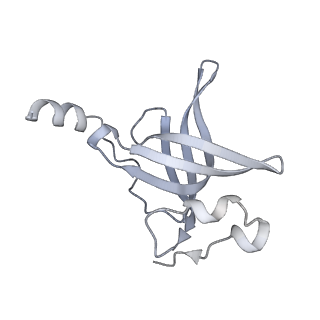 16504_8c97_P_v1-0
Cryo-EM captures early ribosome assembly in action