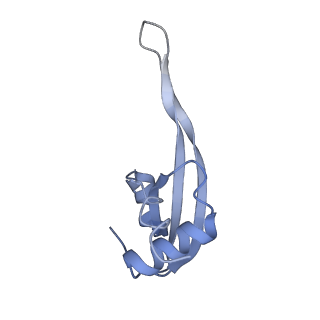 16504_8c97_T_v1-0
Cryo-EM captures early ribosome assembly in action