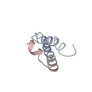 16504_8c97_Y_v1-0
Cryo-EM captures early ribosome assembly in action