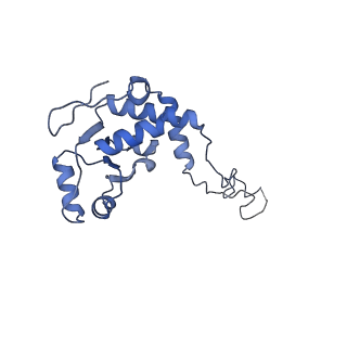 16505_8c98_E_v1-0
Cryo-EM captures early ribosome assembly in action