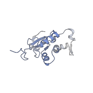 16505_8c98_J_v1-0
Cryo-EM captures early ribosome assembly in action
