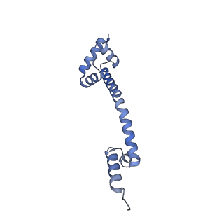 16505_8c98_Q_v1-0
Cryo-EM captures early ribosome assembly in action