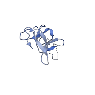 16505_8c98_U_v1-0
Cryo-EM captures early ribosome assembly in action
