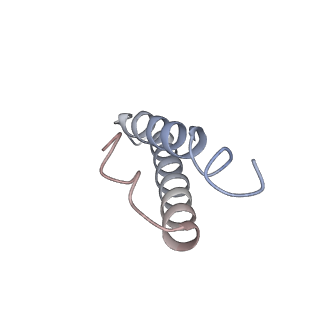 16505_8c98_Y_v1-0
Cryo-EM captures early ribosome assembly in action
