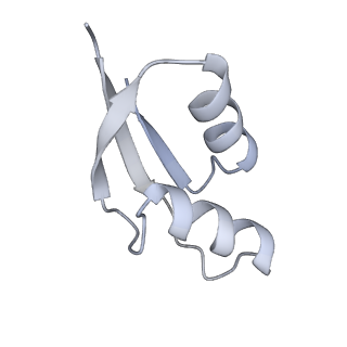 16505_8c98_Z_v1-0
Cryo-EM captures early ribosome assembly in action