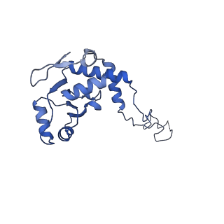 16506_8c99_E_v1-1
Cryo-EM captures early ribosome assembly in action