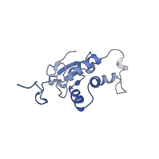 16506_8c99_J_v1-1
Cryo-EM captures early ribosome assembly in action