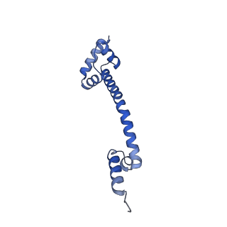 16506_8c99_Q_v1-1
Cryo-EM captures early ribosome assembly in action