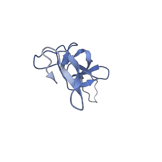 16506_8c99_U_v1-1
Cryo-EM captures early ribosome assembly in action