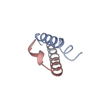 16506_8c99_Y_v1-1
Cryo-EM captures early ribosome assembly in action