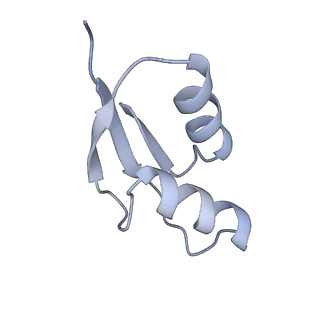 16506_8c99_Z_v1-1
Cryo-EM captures early ribosome assembly in action
